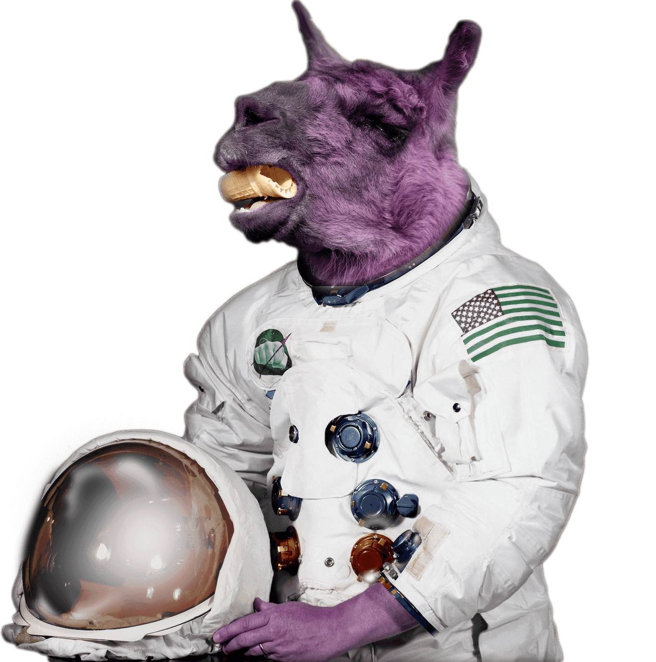 Space llama astronaut mascot